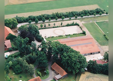 Freie Pferdeboxen in 27246 Bockhop