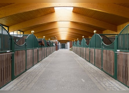 Stalls available at a top facility in Mecklenburg – brand new construction!