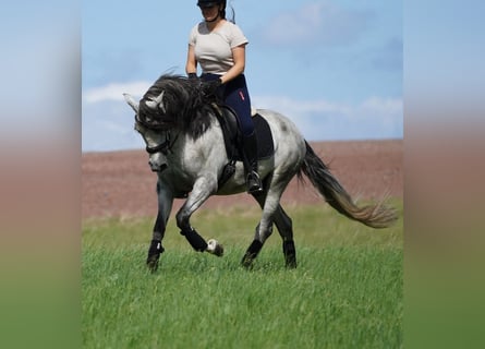 Trainer (m/f/d) wanted