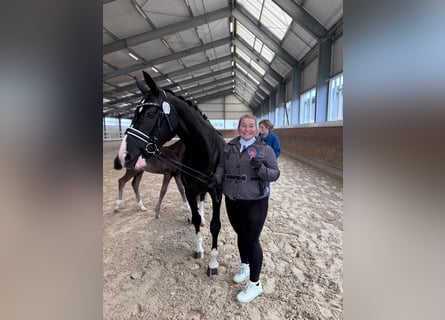 Equine Specialist Full-Time / Part-Time