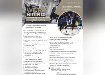 Equine Caregiver Wanted Part-Time or Full-Time