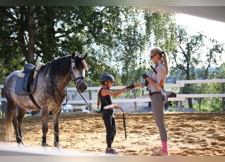 Dream Job: Equine Specialist