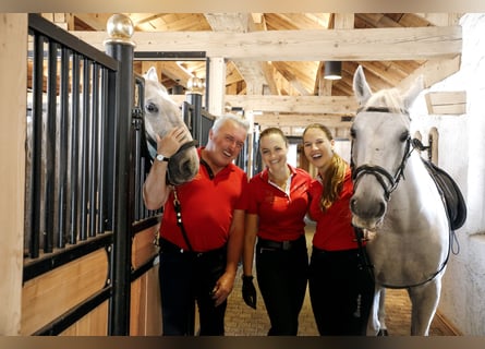 Instructor and/or riding teacher (m/f/d)