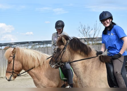 June 27-28, 2026: Open Centered Riding Course (Riding from the Core)
