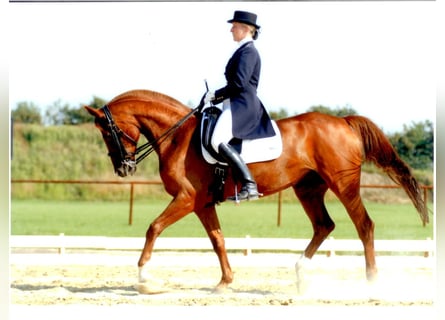 Mental Coaching for Equestrians