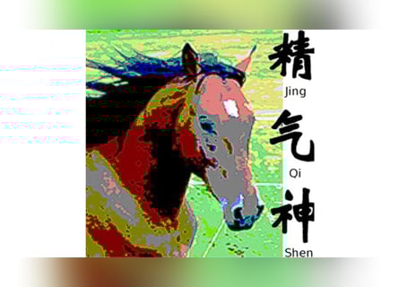 Training in Equine Acupuncture 2026