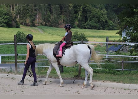 Basic Riding Lesson Course