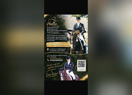 Highly experienced dressage rider offers personalized training sessions.