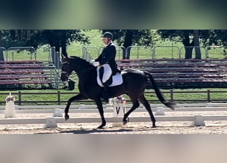 Learn to ride at the highest level – in a place where others go on vacation