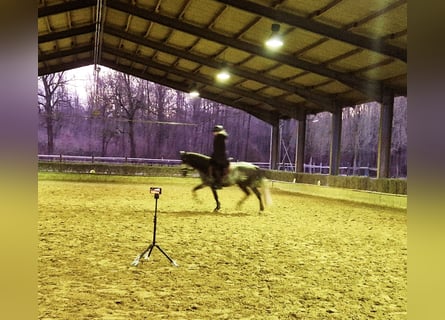 Online riding lessons