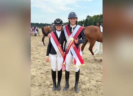 Professional riding lessons