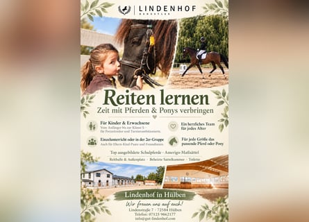 Riding lessons for beginners through advanced level (Class S)