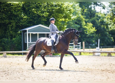 Fully ridden with heart