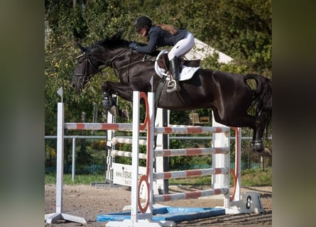 Riding spots available immediately