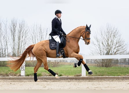 Training available in the southern Hamburg/Seevetal area