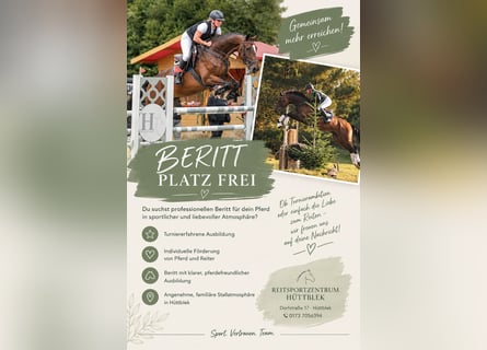 Training in dressage, show jumping, and eventing