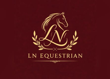 Deutsches Reitpony, Wallach, 9 Jahre, 125 cm, Schimmel