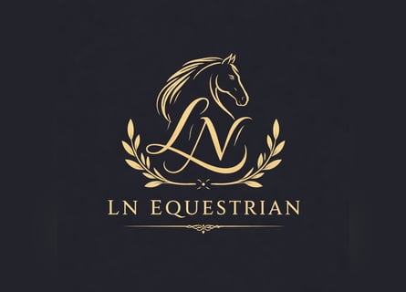 Deutsches Sportpferd, Wallach, 9 Jahre, 160 cm