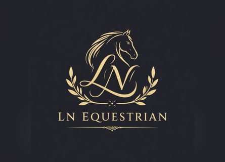 Deutsches Sportpferd, Wallach, 9 Jahre, 160 cm