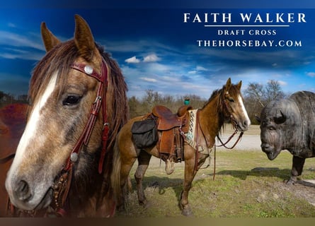 Draft Horse Mix, Mare, 3 years, 14,2 hh, Roan-Red