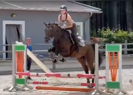 Duits sportpaard, Ruin, 4 Jaar, 170 cm