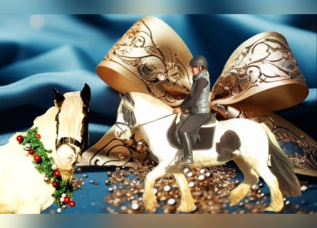 Gypsy Horse, Mare, 16 years, 14,1 hh, Pinto