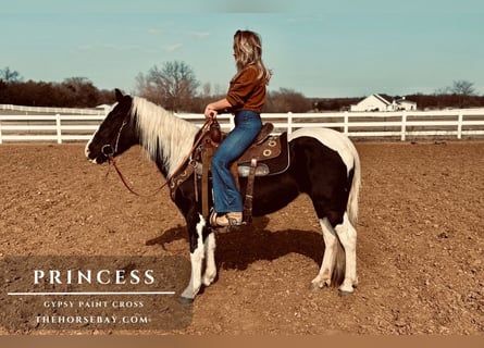 Gypsy Horse, Mare, 6 years, 14,1 hh, Tobiano-all-colors