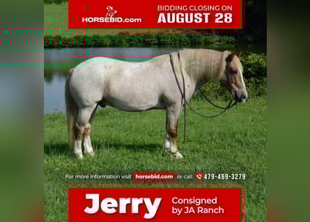 Haflinger, Hongre, 10 Ans, 142 cm, Rouan Rouge