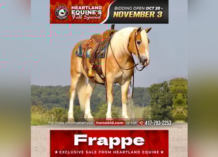 Haflinger, Hongre, 5 Ans, 140 cm, Alezan cuivré