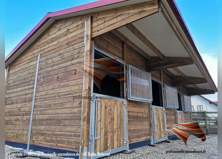 Aussenbox, Pferdestall bauen, Pferdebox, Offenstall bauen, Unterstand, Stallungen, Stall bauen,