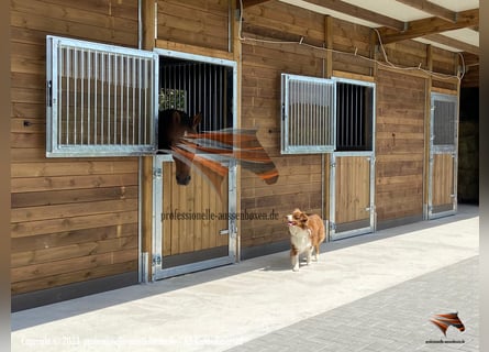 Außenbox pferd - Pferdestall bauen, Pferdebox und Paddockbox, Offenstall kaufen, Weidehütte pferd,