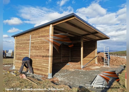 TOP Unterstand für Pferde - Offenstall bauen, Pferdeunterstand, Weideunterstand, Weidehütte pferd,