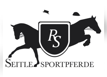 Bereiter m/w/d gesucht