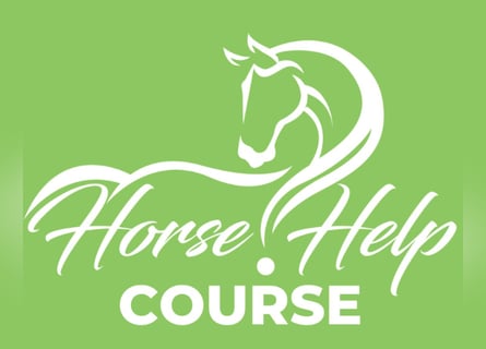 Horse Help Course - Step-by-Step Online Education to train your horse at Home!