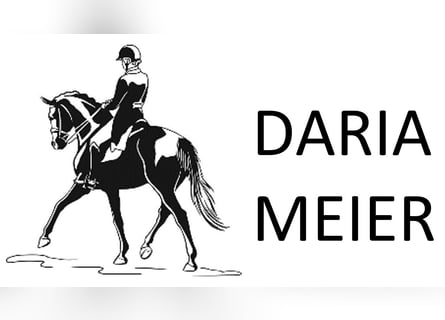 Ausbildung / Beritt von Ihrem Dressurpferd / Turniervorstellung