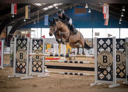 Berittplätze frei - Vollberitt auf moderner Reitsportanlage