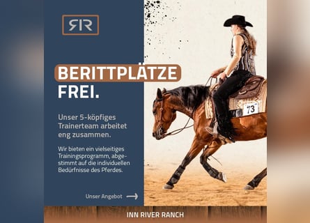 Berittplätze, Unterricht, Kurse