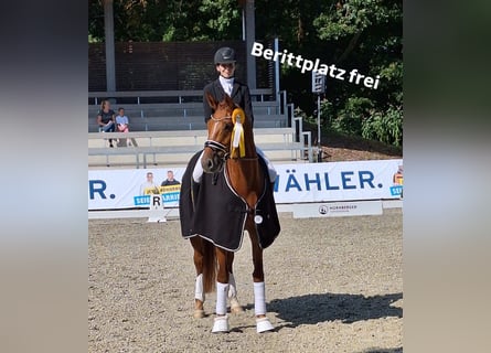Berittplatz Dressur