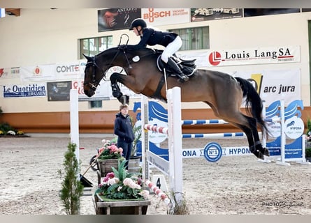 Reitunterricht & Beritt