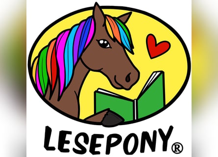 Ausbildung zur Pony-Motion® Reitpädagogik