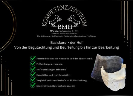 Workshop - Basiskurs - der Huf - Hufbearbeitung - Hufkurs