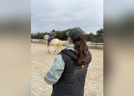 Dressurunterricht mit Grand-Prix-Reiterin Patricia Sanchez