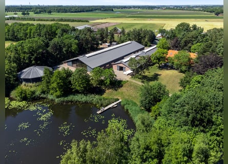 A beautiful equestrian facility, situated on a dream location!