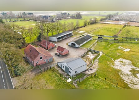 Authentieke hoeve met diverse bijgebouwen en graslanden op 93.155m² - 2300 Turnhout
