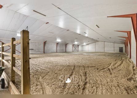 Boerderij met paardenfaciliteiten en graslanden op  14.490m² te Antwerpen | België