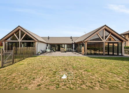 Charmante woning met wijngaard en graslanden op 14.569m² te Wachtebeke | België
