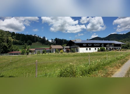 Exklusive Reitsportanlage mit Wohn- und Renditepotenzial im Allgäu