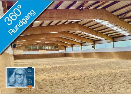 FREI // Reitanlage der kurzen Weg // Kiel, Ostsee // Halle, Führanlage // schnell erreichbar!