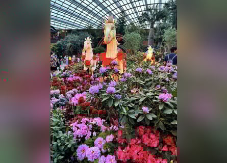 Gesucht Pacht / Mietobjekt