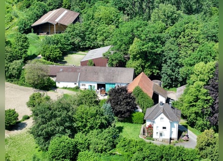 Großzügige Hofanlage in Ortsrandlage